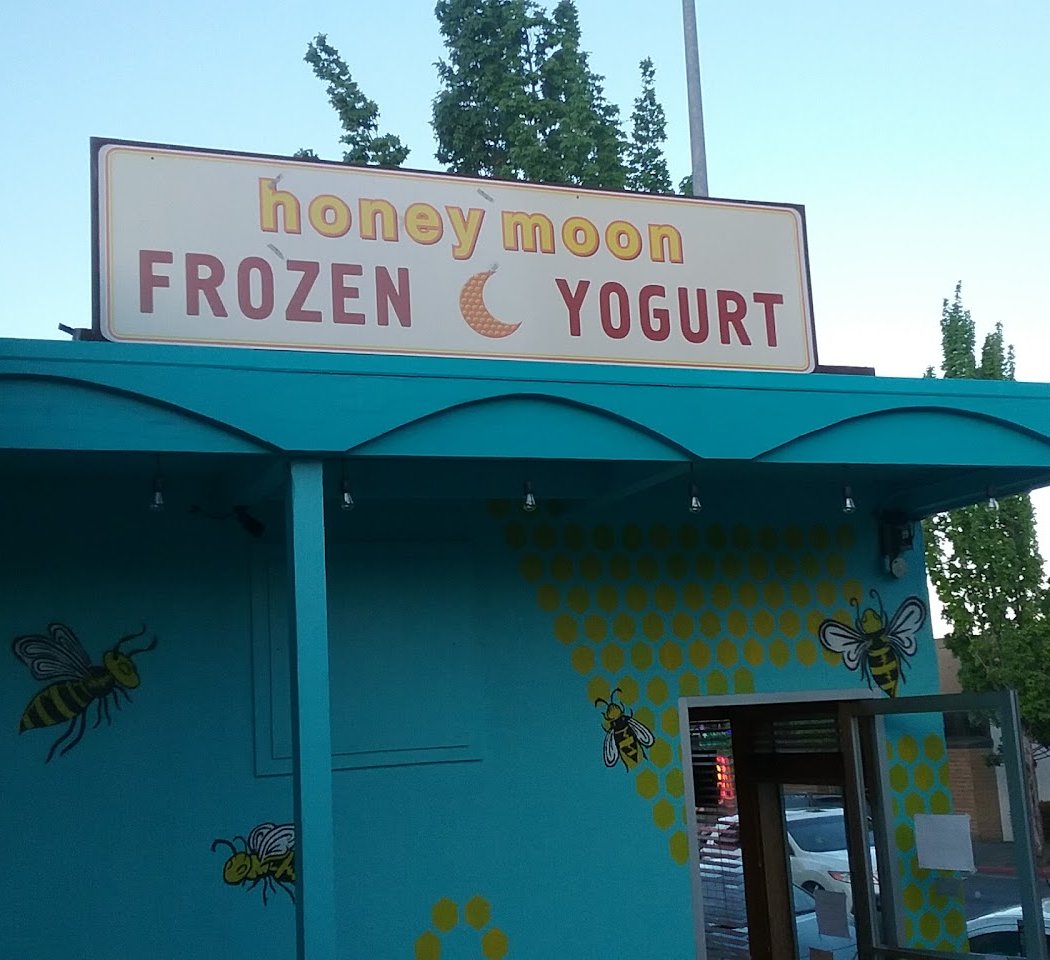 Honeymoon Frozen Yogurt 3