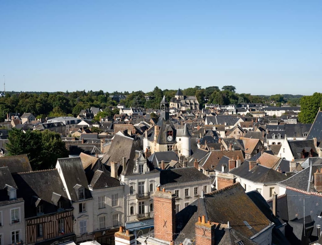 Château Royal d'Amboise 2