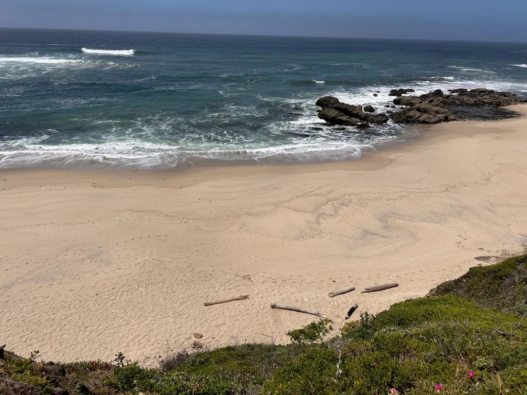 Ross' Cove 2