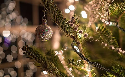 Tree Lighting Celebration 1