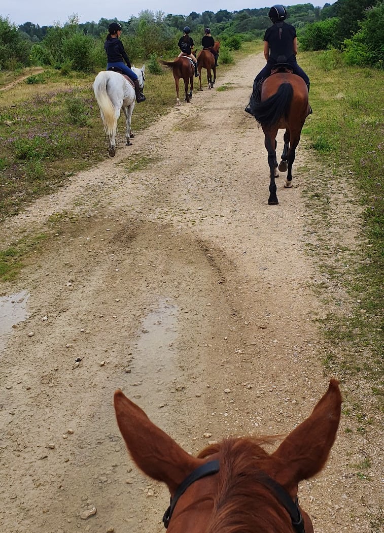CENTRE EQUESTRE BASE LOISIRS DE JABLINES 1