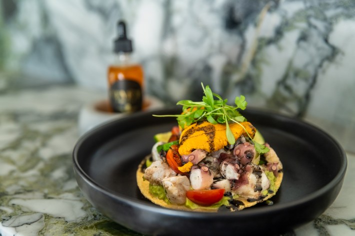Ceviche Project 1