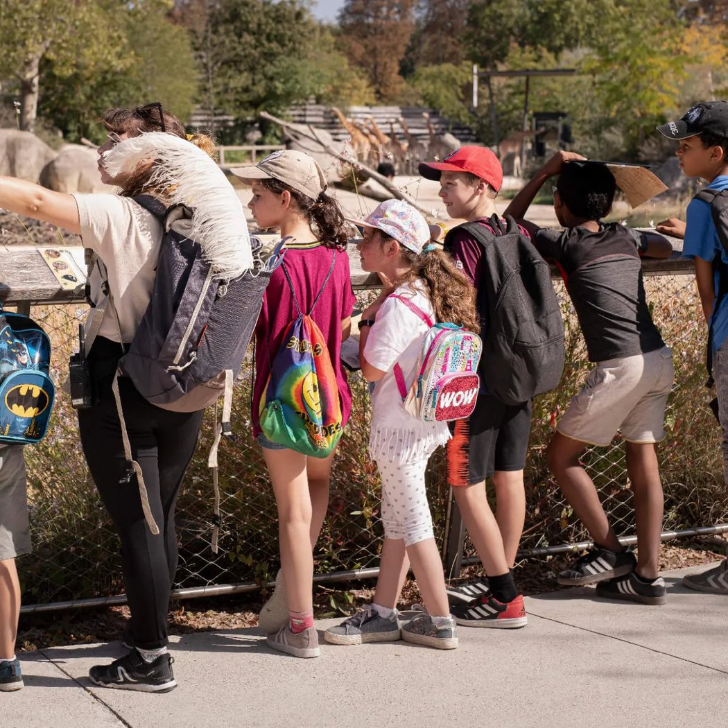 Les dimanches au zoo 2