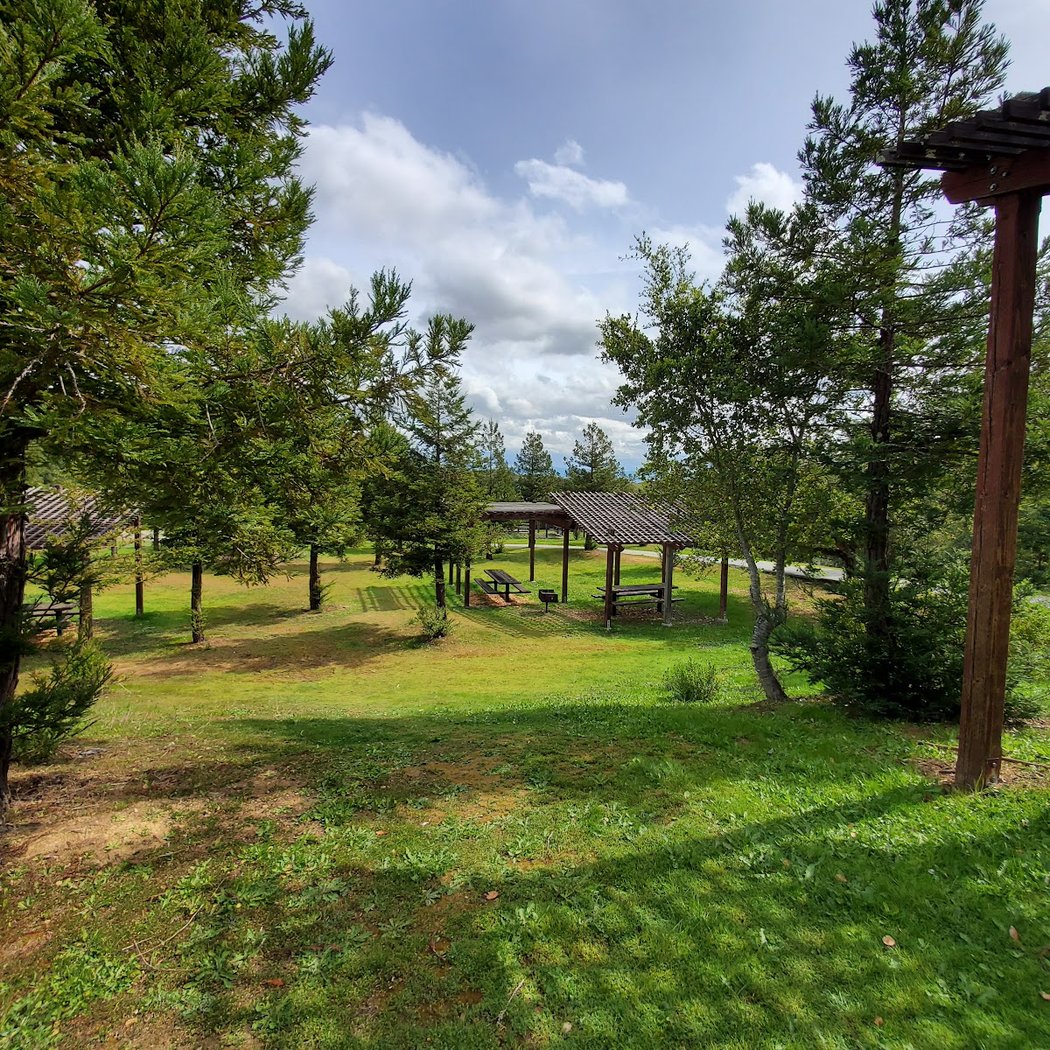 Redwood Picnic Area, Huddart Park 3