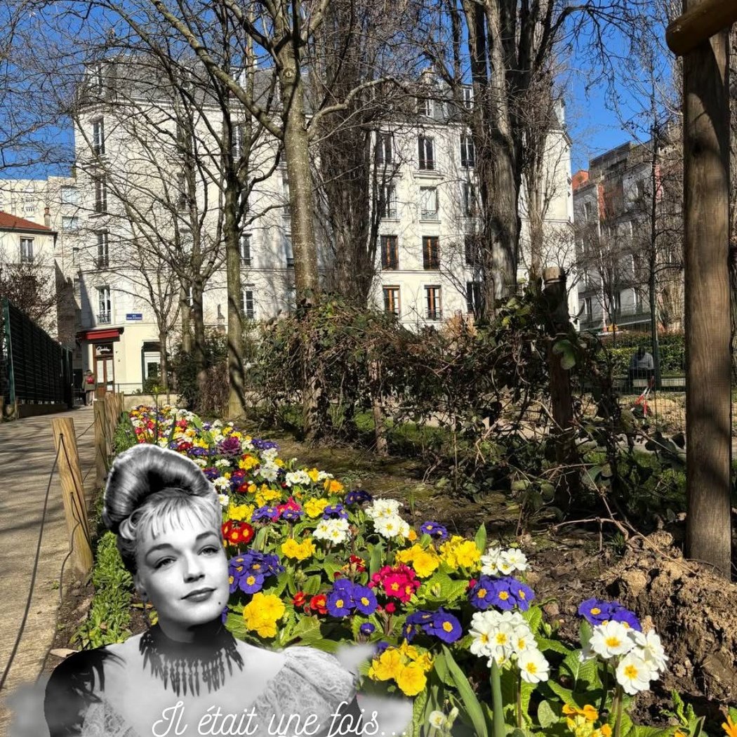 Casque d'Or les Haies Garden 1