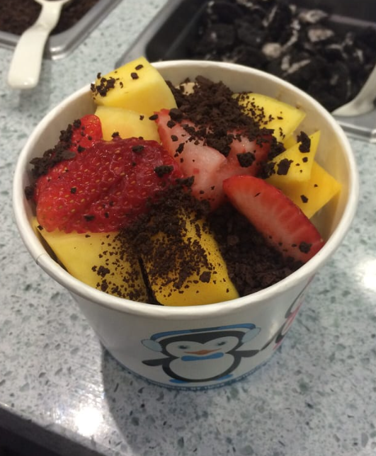 Frozen Planet Yogurt 3