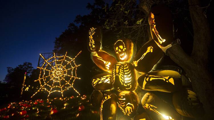 Great Jack O’Lantern Blaze 1