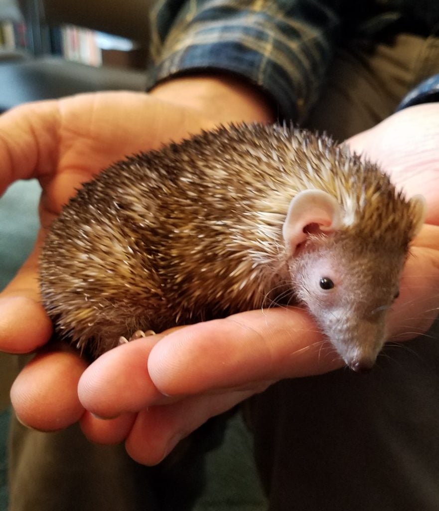 Nature Story Time 1