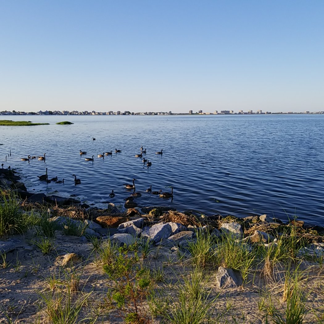 Jamaica Bay Wildlife Refuge 3