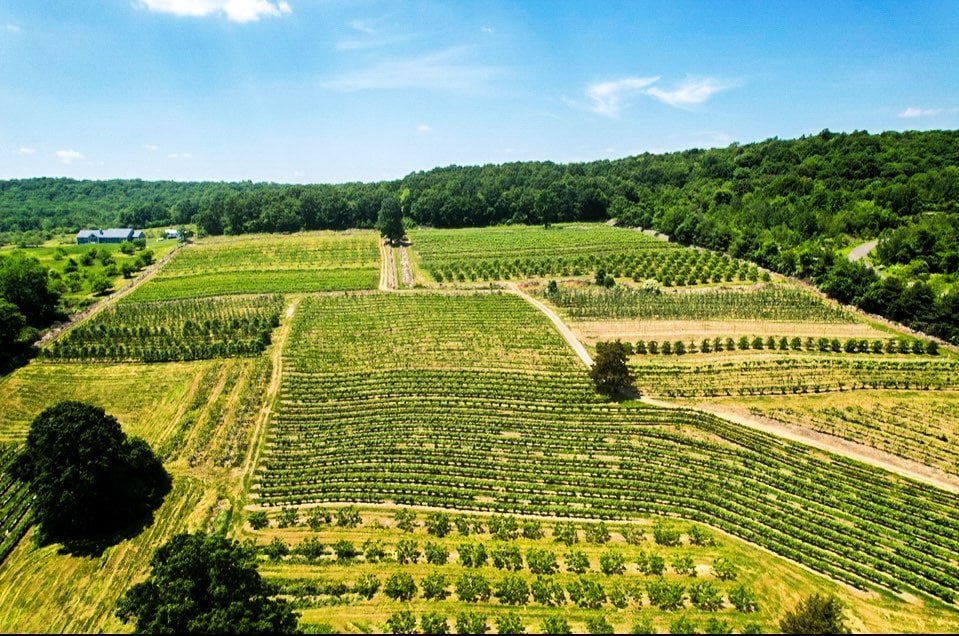 Quartz Rock Vineyard and Cider House 1