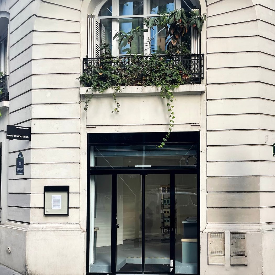 Galerie Micki Leng Inauguration 2