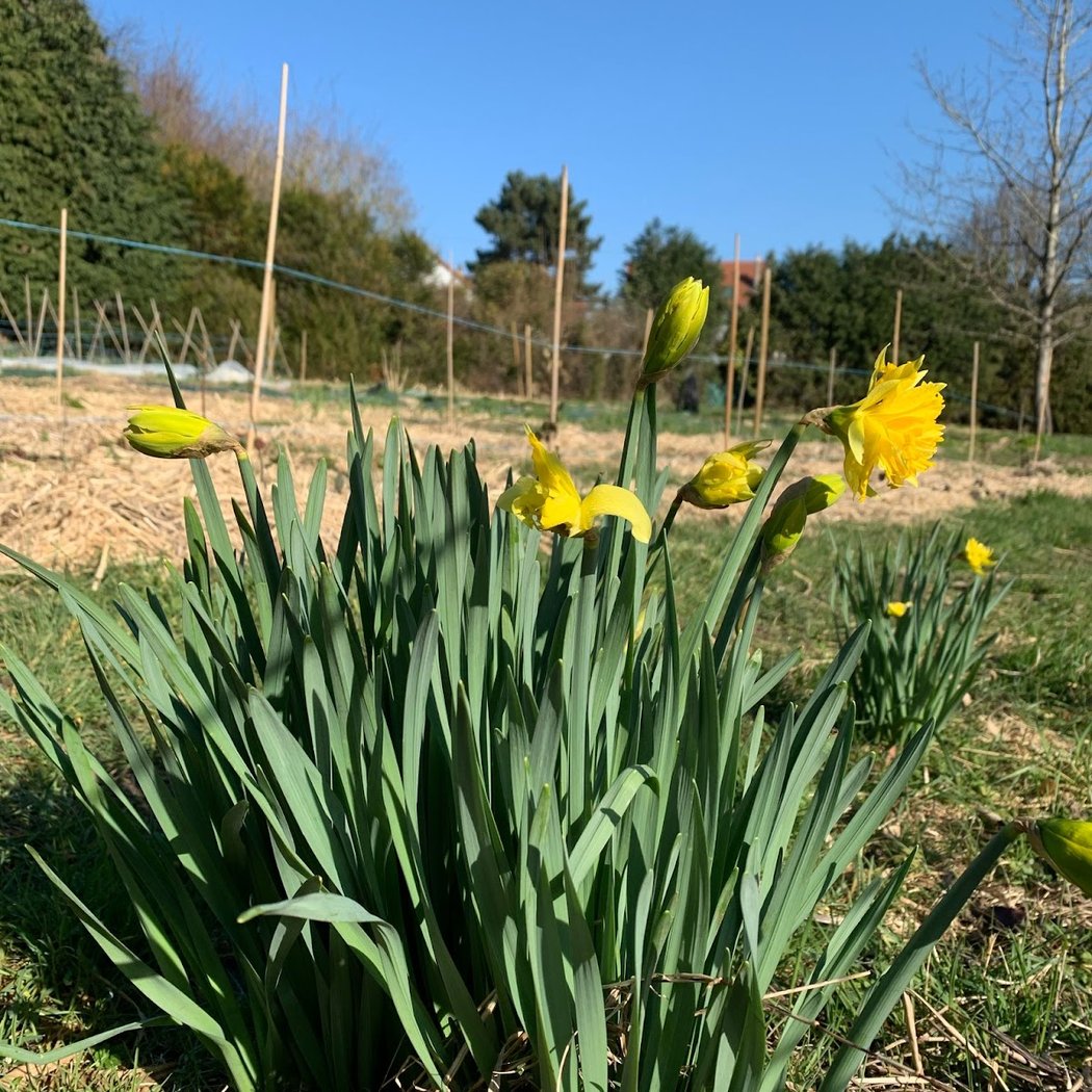 Atelier créatif « Décore, plante, fais pousser ! » 1