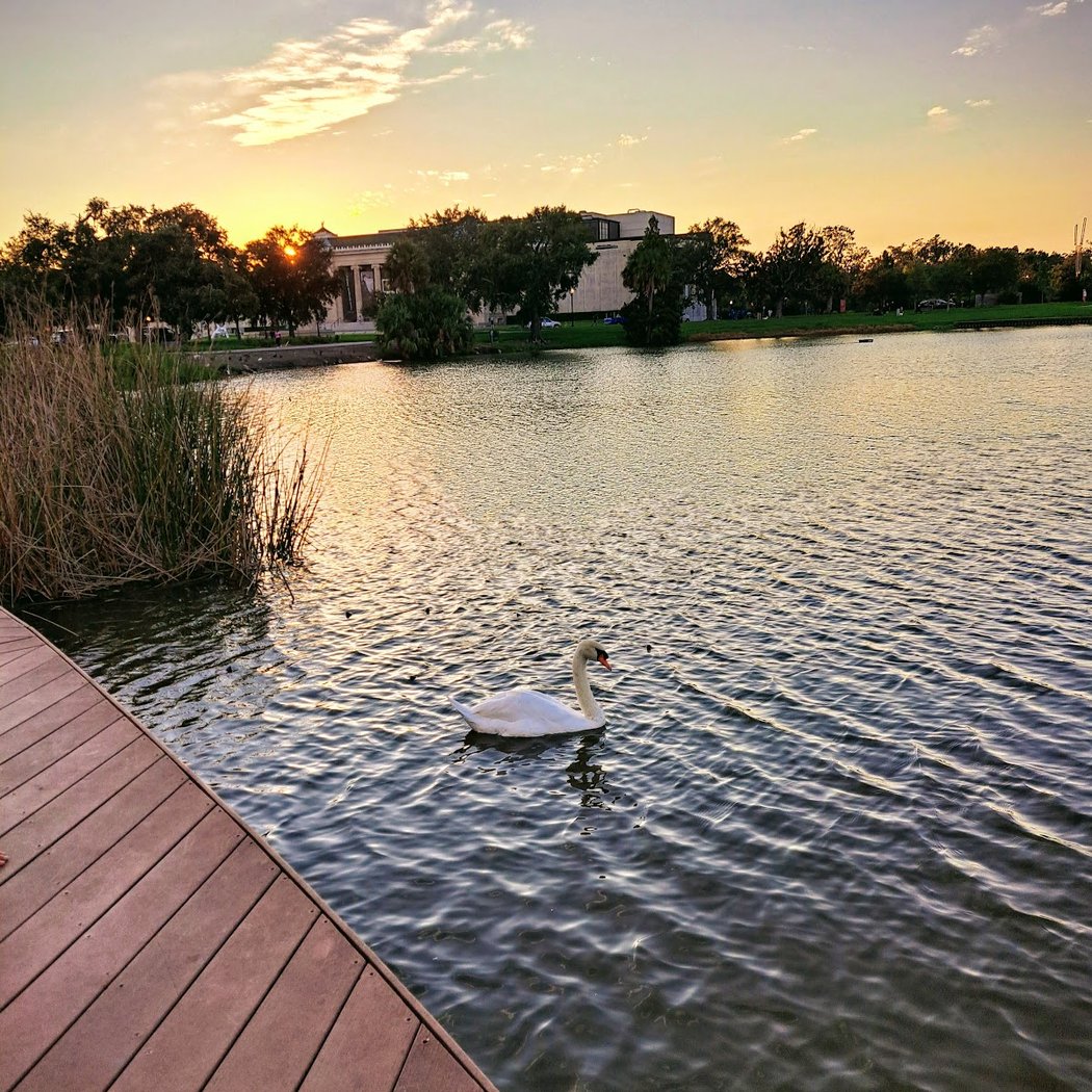 City Park 1
