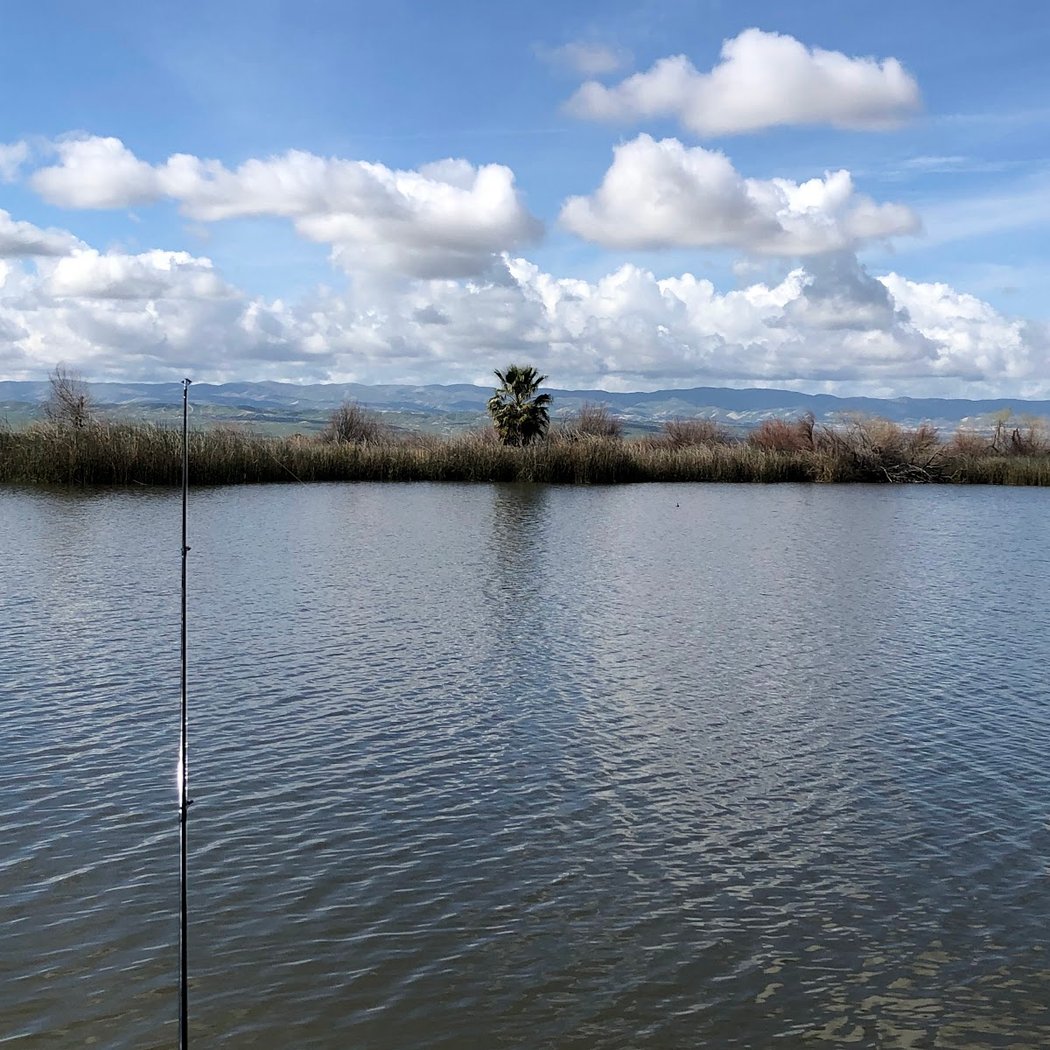 Buena Vista Aquatic Recreational Area 3