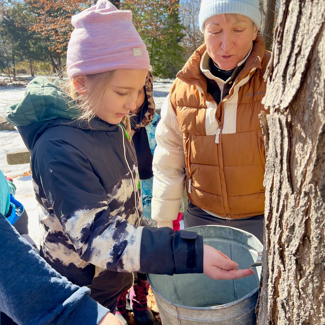 Maple Sugaring Fest 1