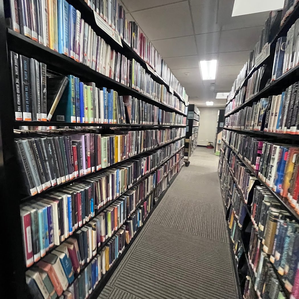 Elting Memorial Library 2