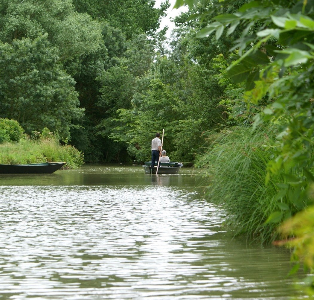 LES OISEAUX DU MARAIS POITEVIN Parc Ornithologique et Embarcadère 2