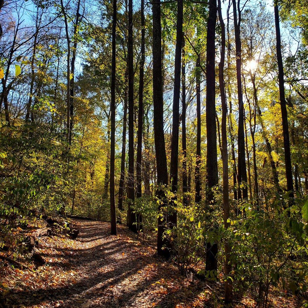 Radnor Lake State Park 1