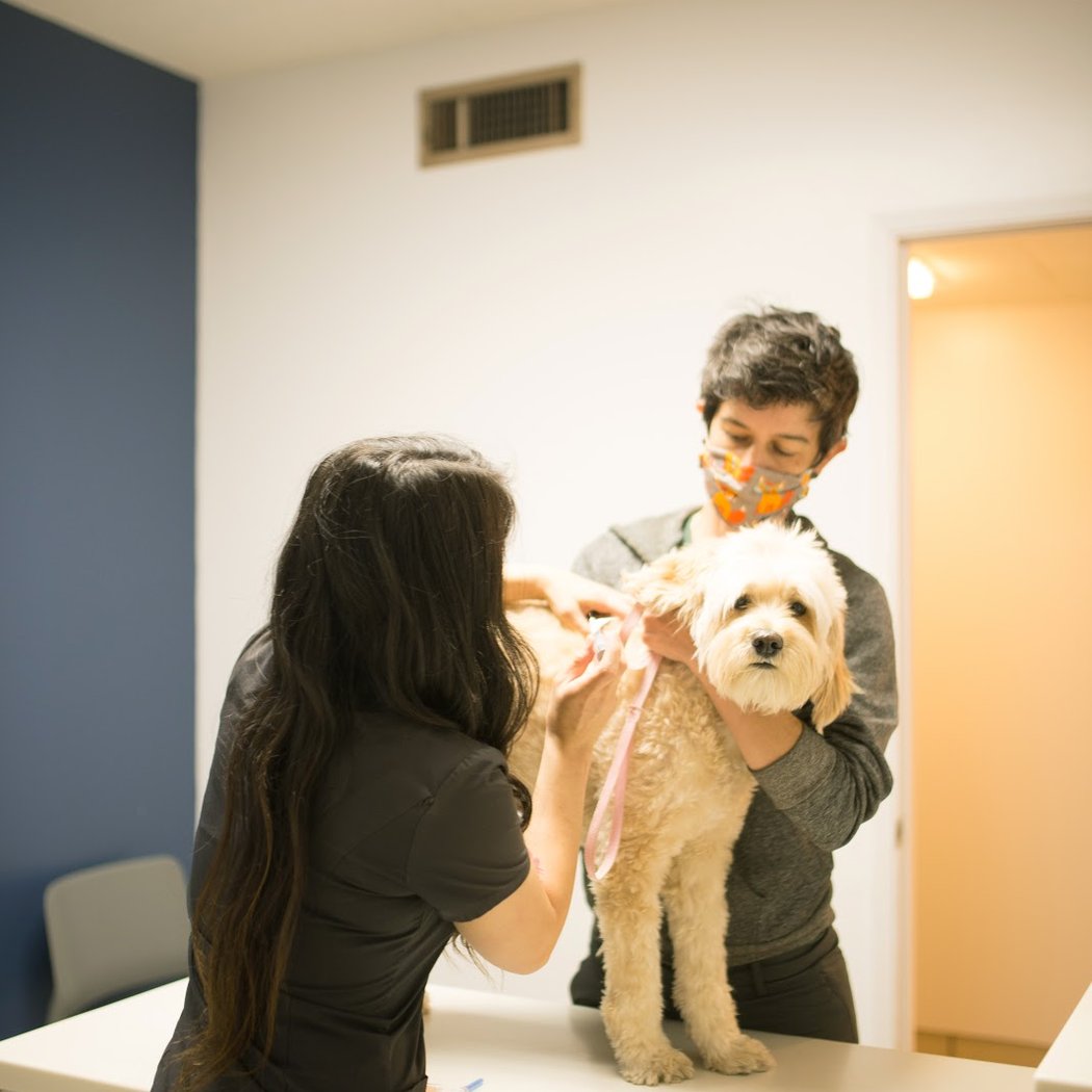 Claremont Veterinary Hospital 1