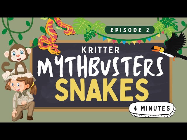 Mythbusters: Snake Edition! 1