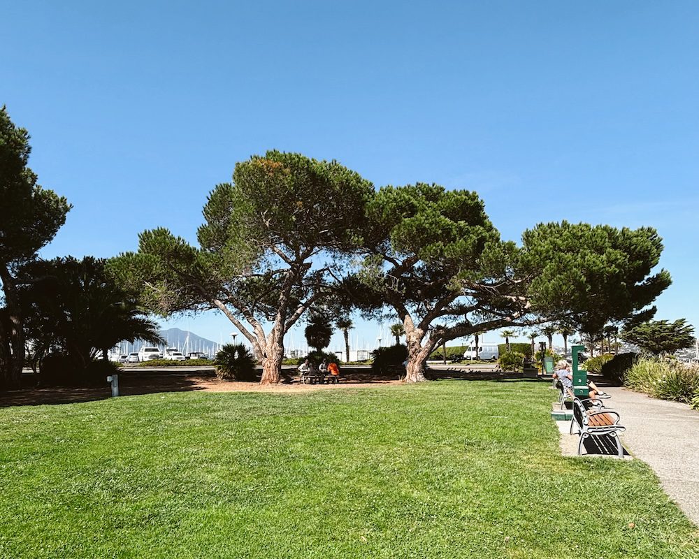 Gabrielson Park 2