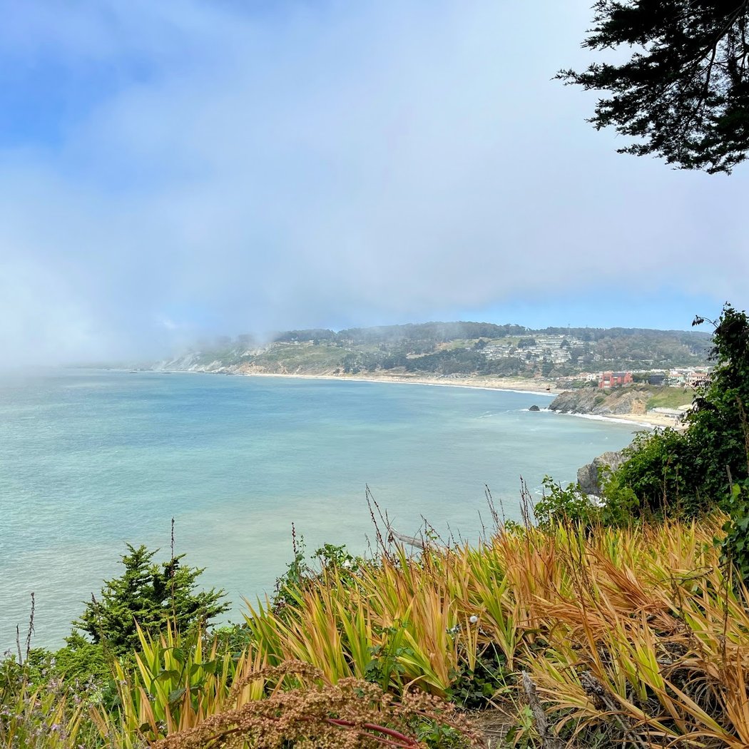Sea Cliff 3