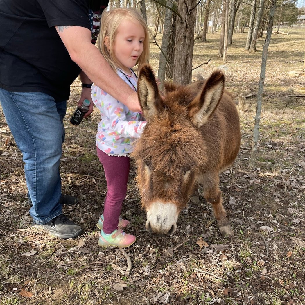 Learning Tree Farm 3