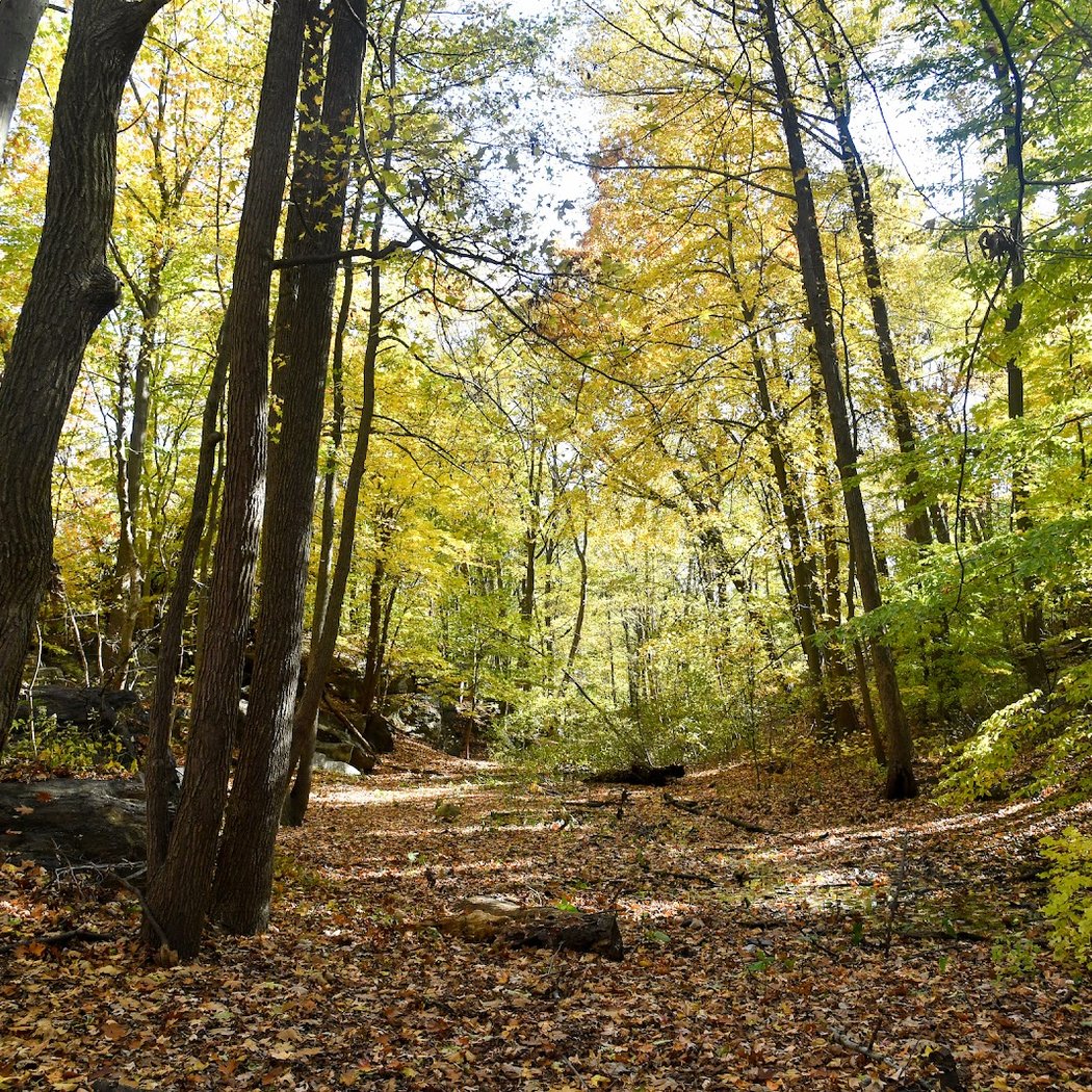 Seton Falls Park 2