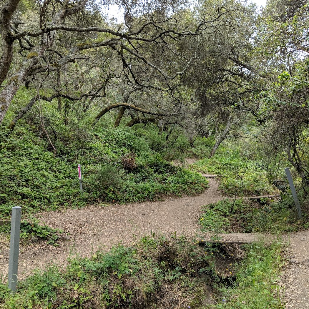 Hidden Canyon Park 2
