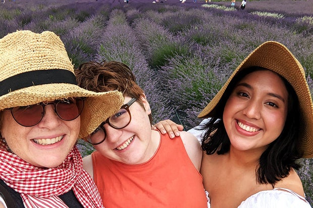 Lavender Fields 1