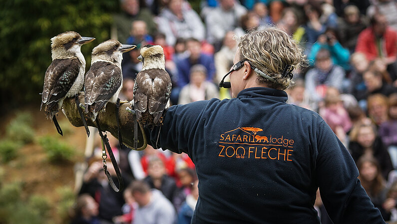 Zoo de la Flèche 1