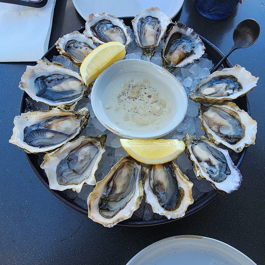 Oyster 3