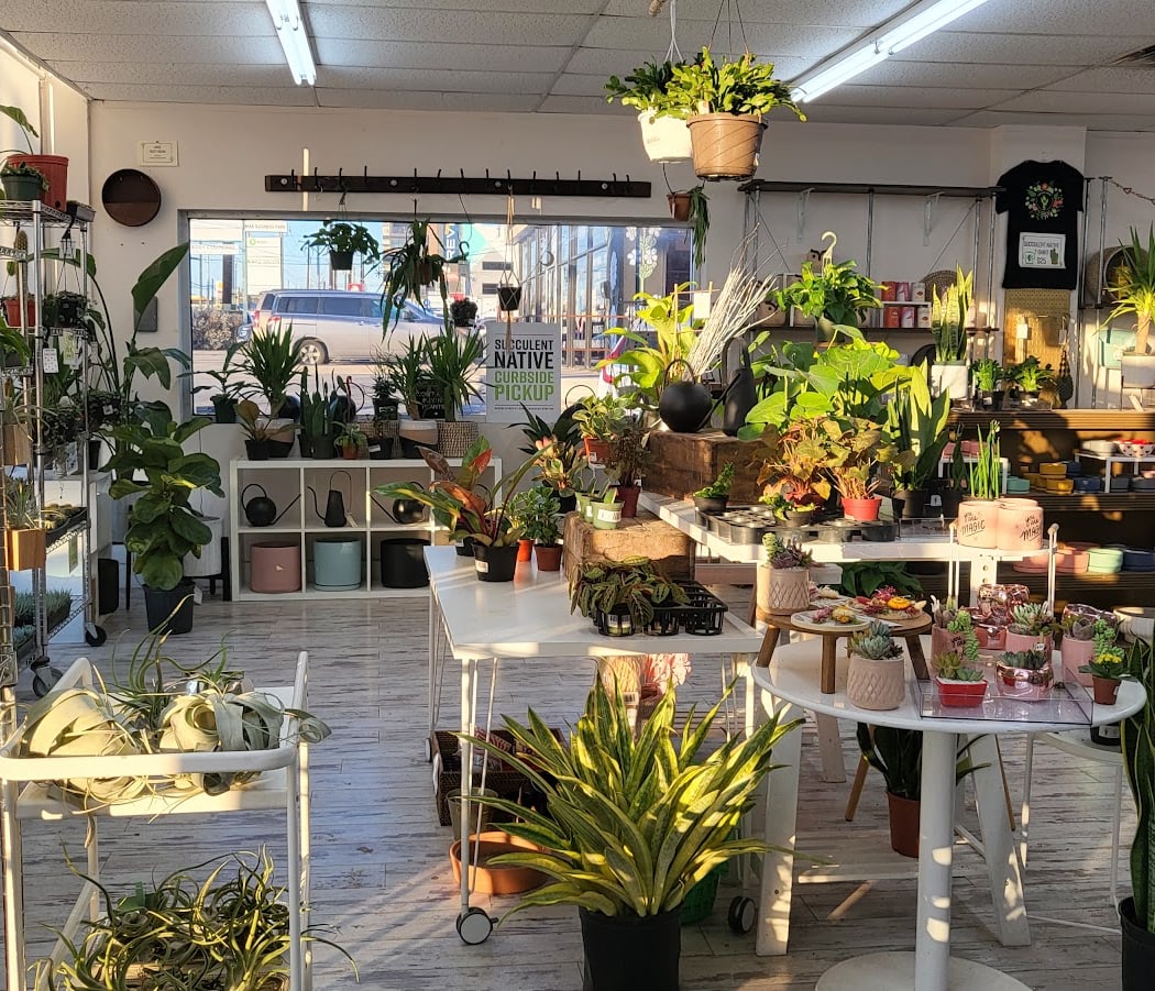 Pups & Plants Sale 3