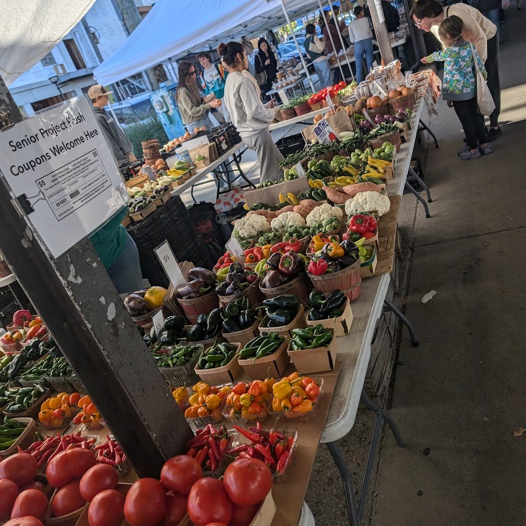 Ann Arbor Farmers Market 4