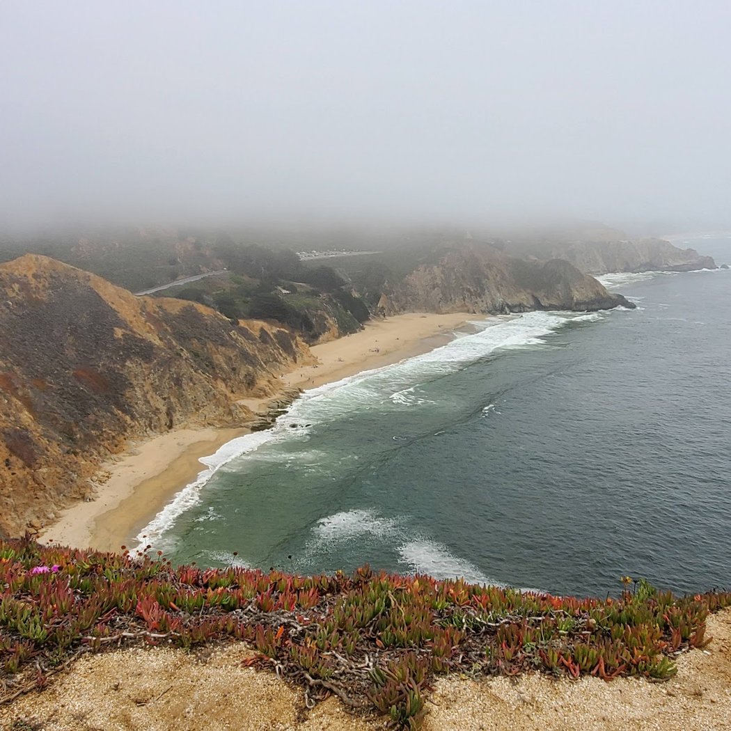 Gray Whale Cove 2