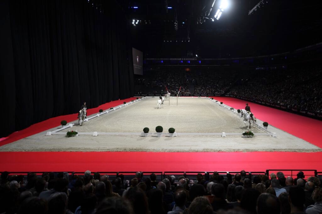 L’école espagnole d’équitation de Vienne 2