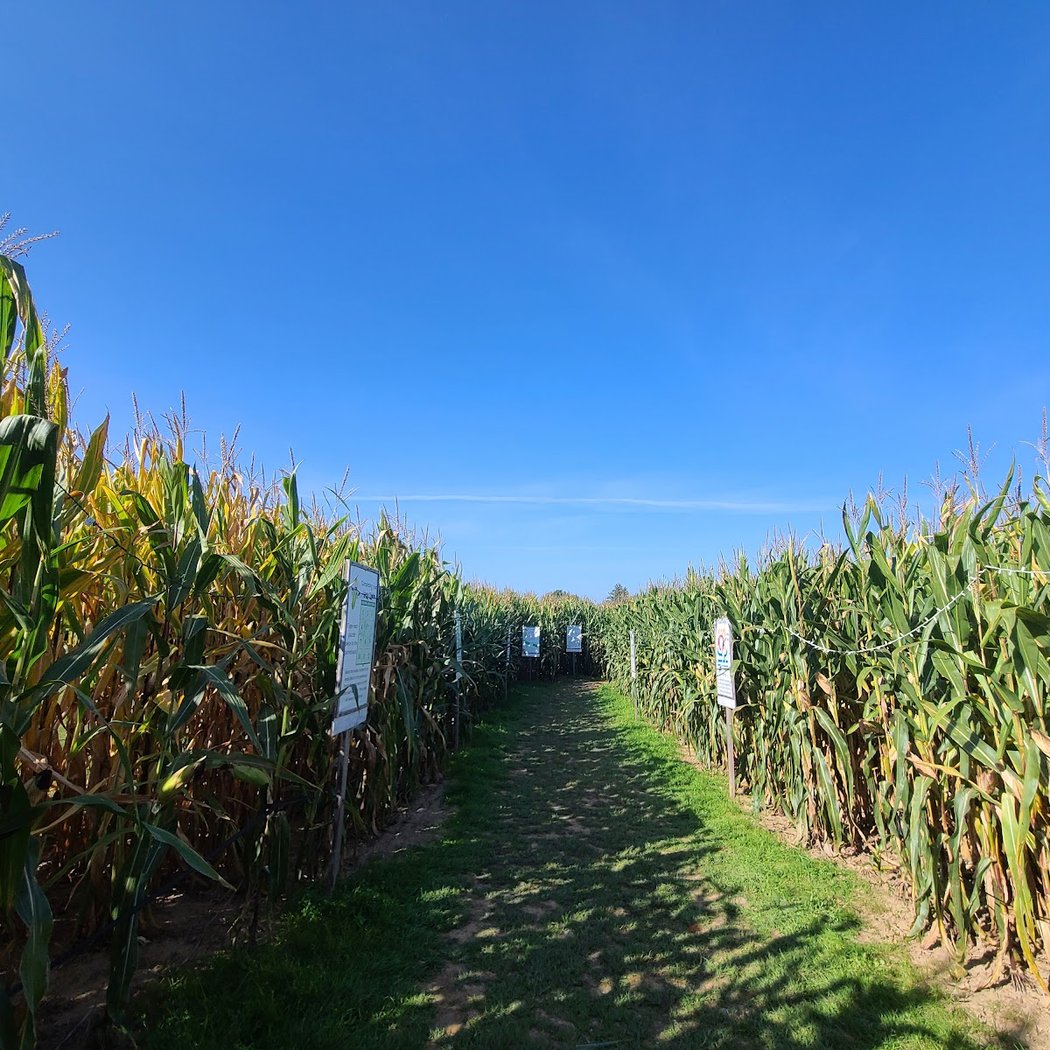 Long Acre Farms 3