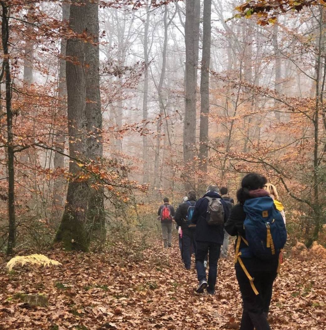 Bain de forêt conscient 3