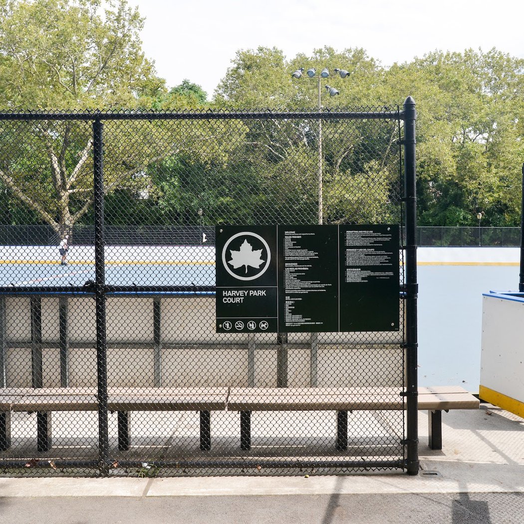 Roller Hockey 3