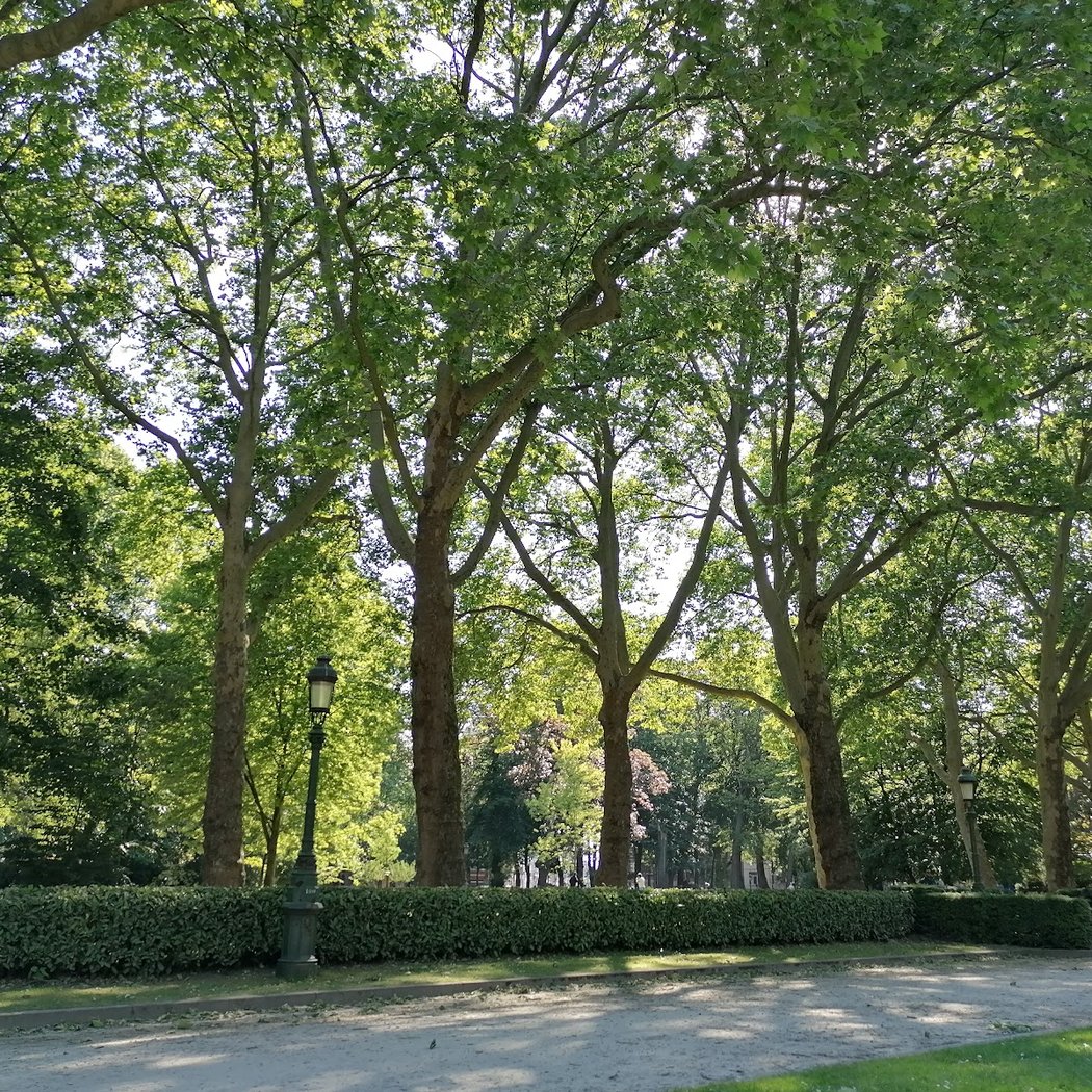 Parc Elisabeth 3