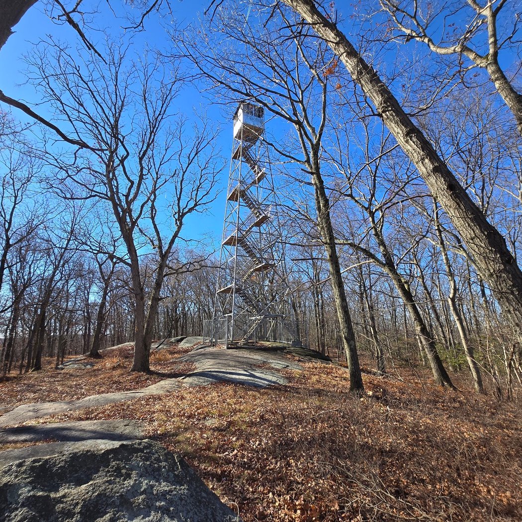 Jackie Jones Fire Tower 1