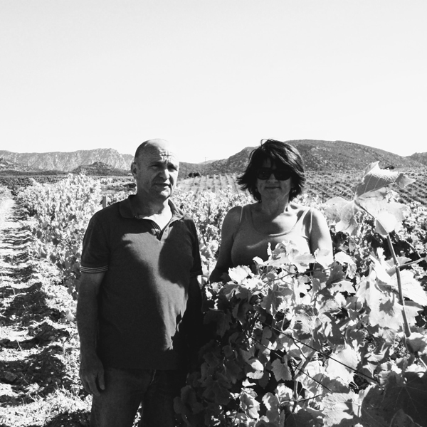 Domaine Les Terres De Mallyce 3