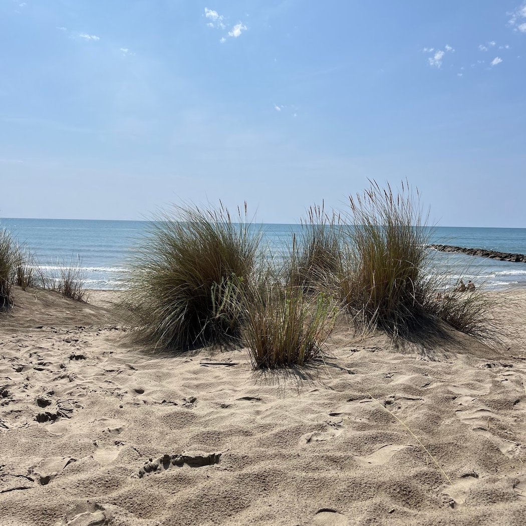 Plage dog friendly 3
