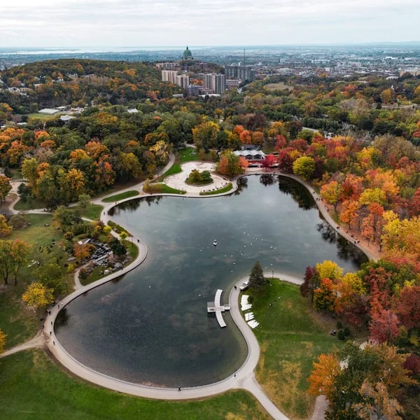 Mount Royal 1