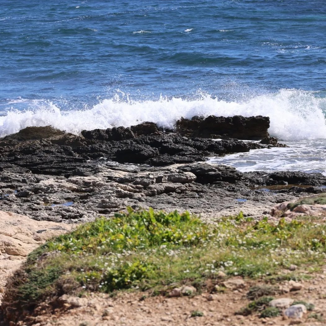 Plage Les Tamaris 3