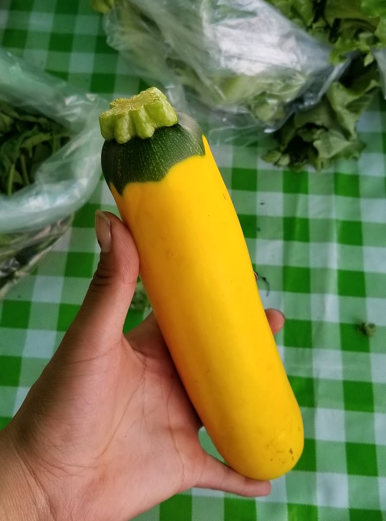 Norwood Farmstand 1