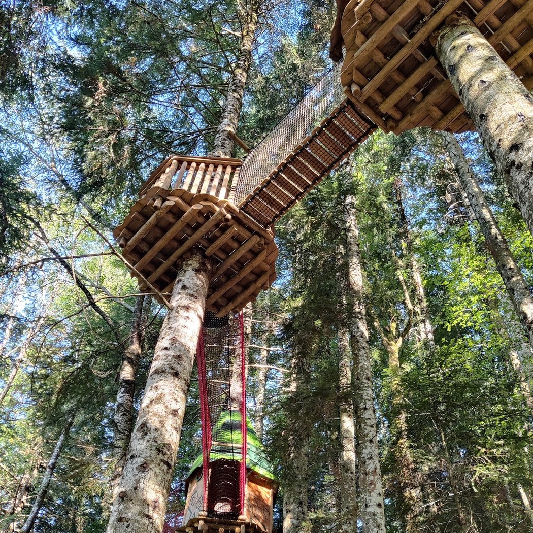 Le Pays Suspendu des Géants : filets suspendus dans les arbres 2
