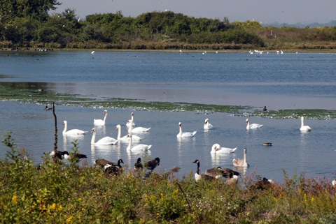 Blind Birder Bird-a-Thon with the National Park Service 2