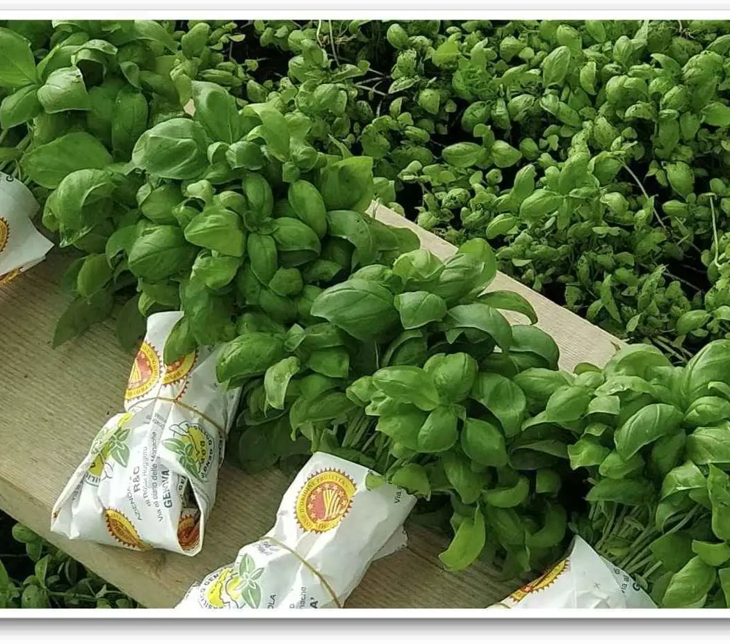 Pop-up with a Purpose | Buying food the WIZE way