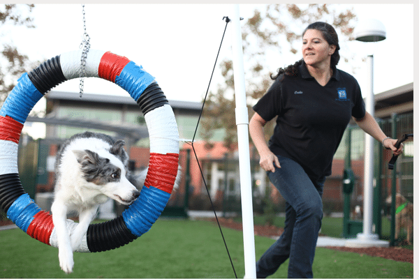 Sports Sampler 1